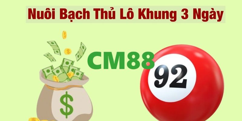 Lý do bạn nên chọn chơi bạch thủ lô khung ba ngày